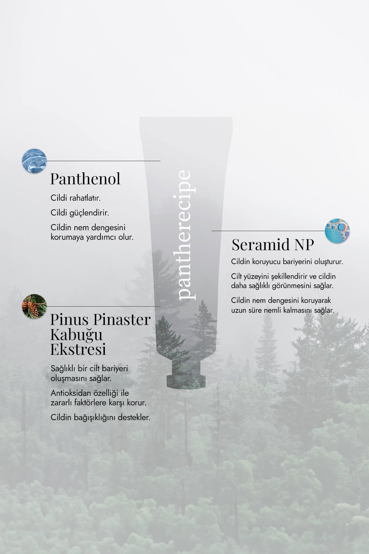 Pantherecipe Cream